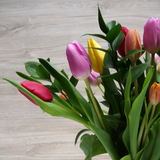 Florero Surtido de Tulipanes de Colores – Colores y Frescura en Florero de Vidrio