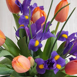 Ramo de Iris y Tulipanes– Azul y Color para un Regalo Llamativo
