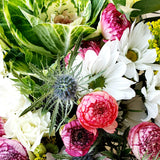 Ramo Surtido de Ranúnculos Fuccias – Flores Frescas y Coloridas a Domicilio