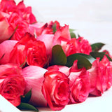Ramo de Rosas Bicolor – Único e Irrepetible en Rosas Ecuatorianas