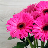 Arreglo de Gerberas Fucsias – Color y Energía con Base Metálica