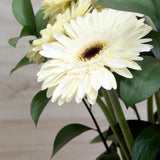 Arreglo de Gerberas Blancas – Limpieza y Frescura con Base Metálica