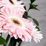 Arreglo de Gerberas Rosadas – Frescura y Color con Base Metálica