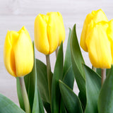 Arreglo de Tulipanes Amarillos – Alegría y Energía en Base Metálica