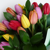 Ramo Surtido de Tulipanes – Mix de Colores Frescos para Regalar