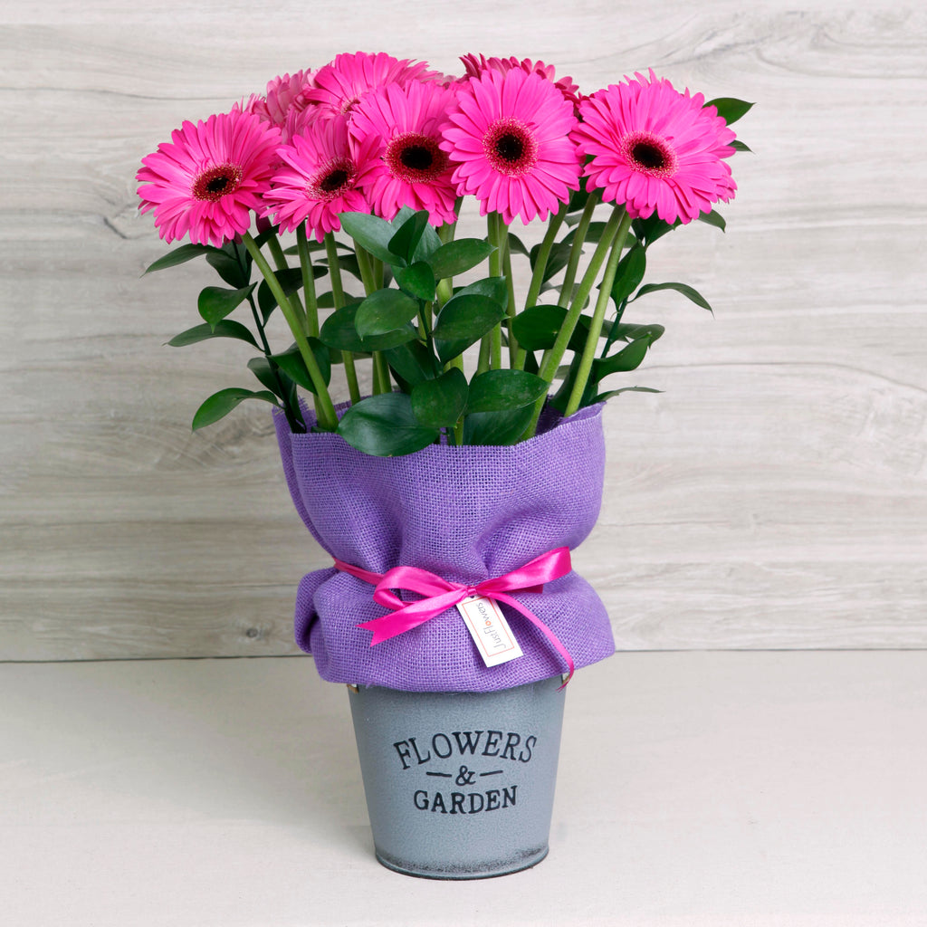 Arreglo de Gerberas Fucsias – Color y Energía con Base Metálica