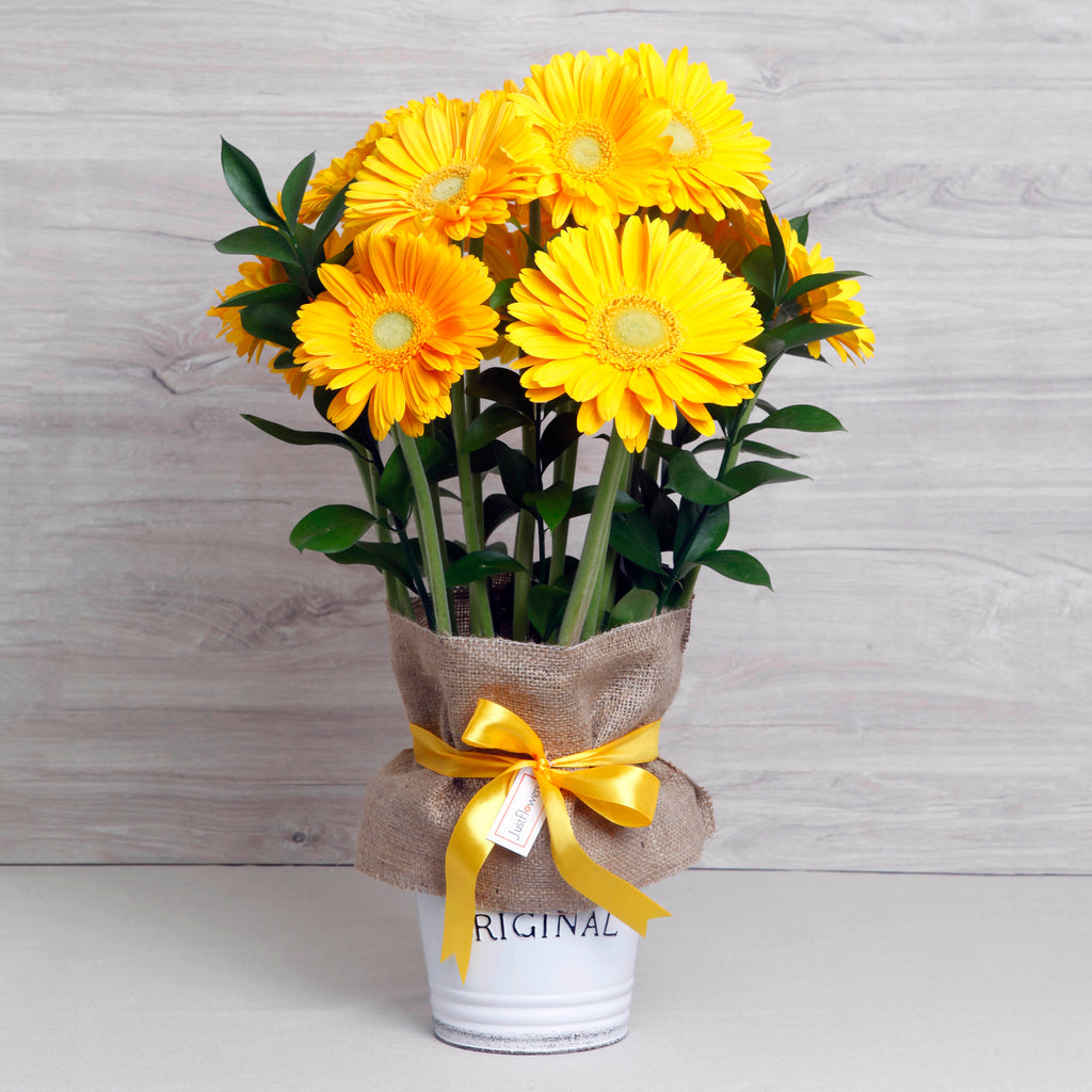 Arreglo de Gerberas Amarillas – Energía y Alegría con Base Metálica