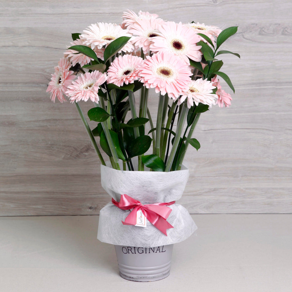 Arreglo de Gerberas Rosadas – Frescura y Color con Base Metálica